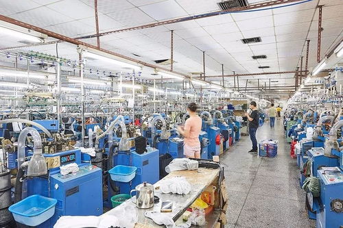 襪子的誕生 揭開泰昂運(yùn)動(dòng)襪生產(chǎn)的神秘面紗