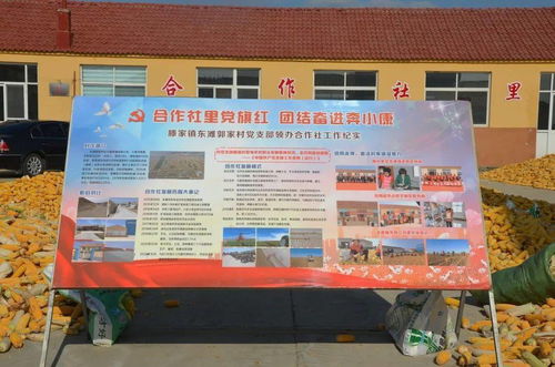 虎山鎮(zhèn)召開 作風(fēng)大改進(jìn) 問題大整改 工作大提升 行動推進(jìn)會