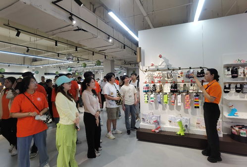 吉林省大學(xué)生走進(jìn)遼源 創(chuàng)業(yè)就業(yè)雙選實(shí)踐活動(dòng)成功舉辦，勞務(wù)派遣服務(wù)助力人才對接